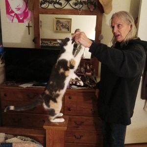Meet your Posher, Karen